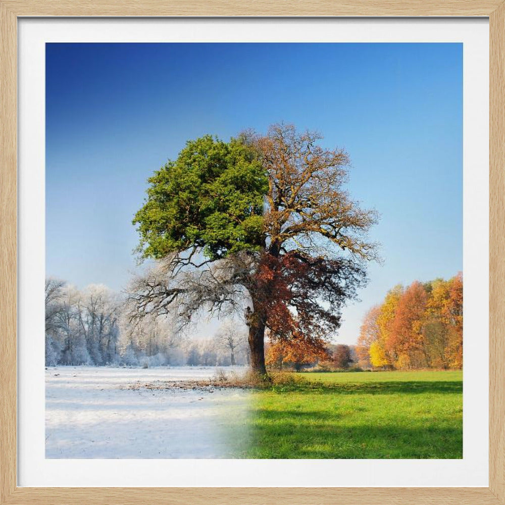 4 seasons | Poster