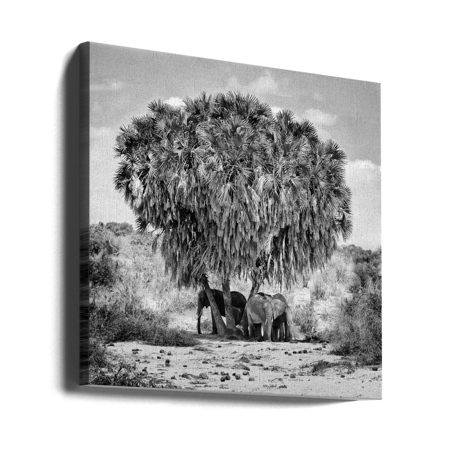 Noon meeting | Canvas