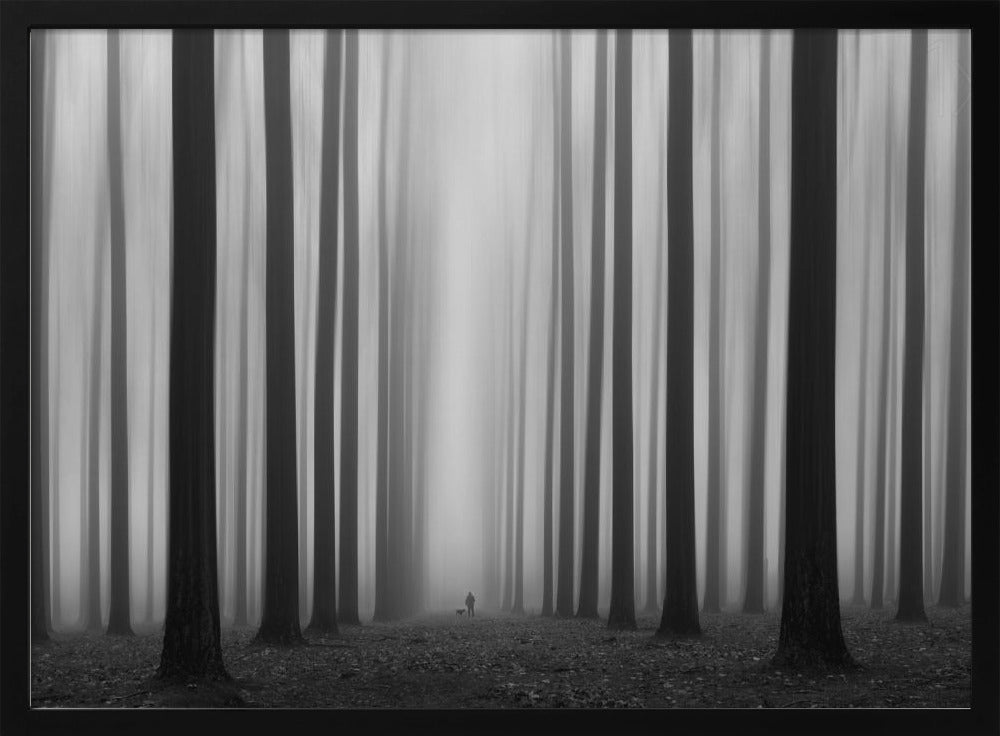 Labyrintti | Julisteet - Taidevedokset