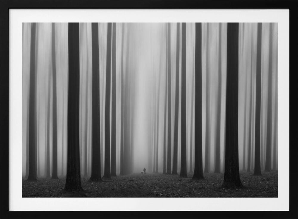 Labyrintti | Julisteet - Taidevedokset