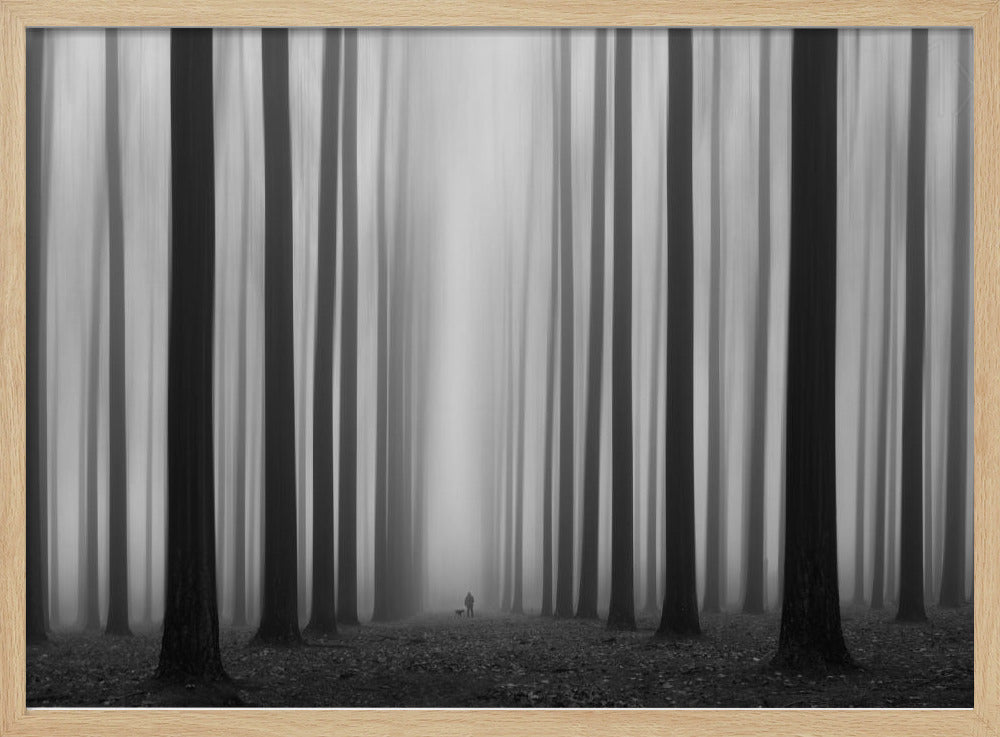 Labyrintti | Julisteet - Taidevedokset