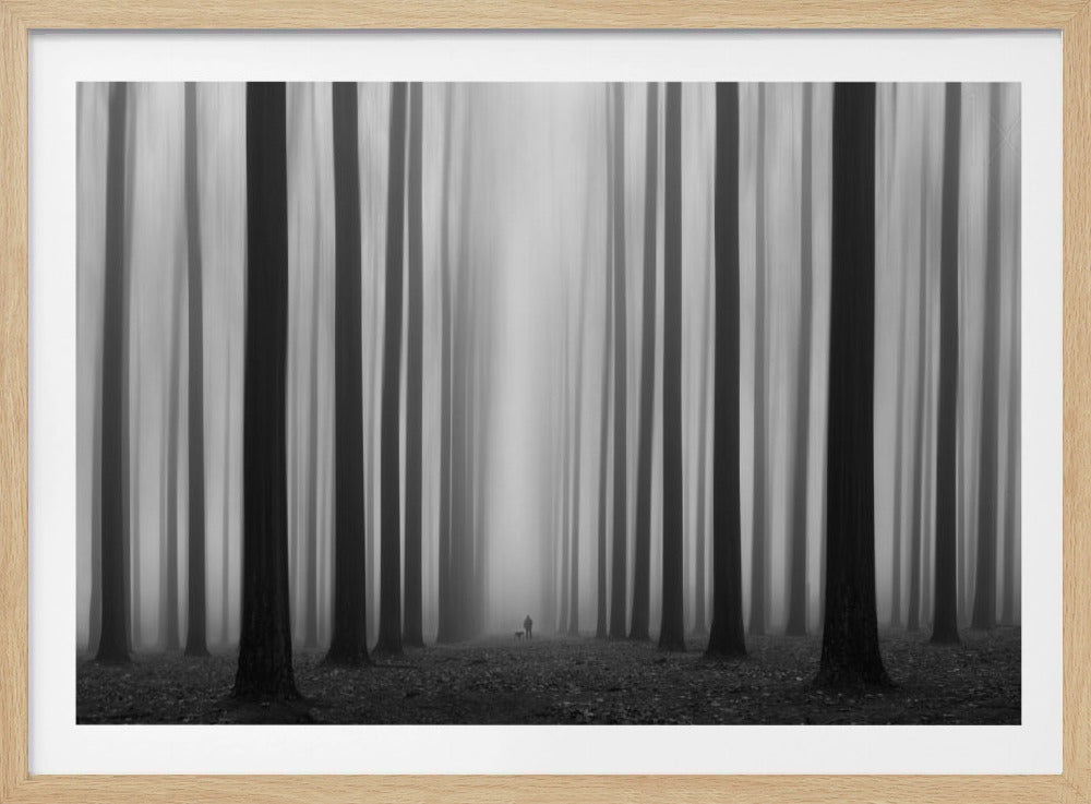 Labyrintti | Julisteet - Taidevedokset