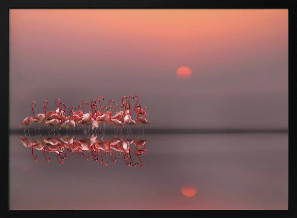 fioletowy zachód słońca | Plakaty - Wydruki Artystyczne