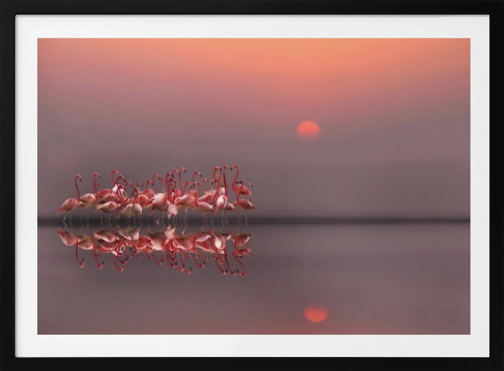 fioletowy zachód słońca | Plakaty - Wydruki Artystyczne