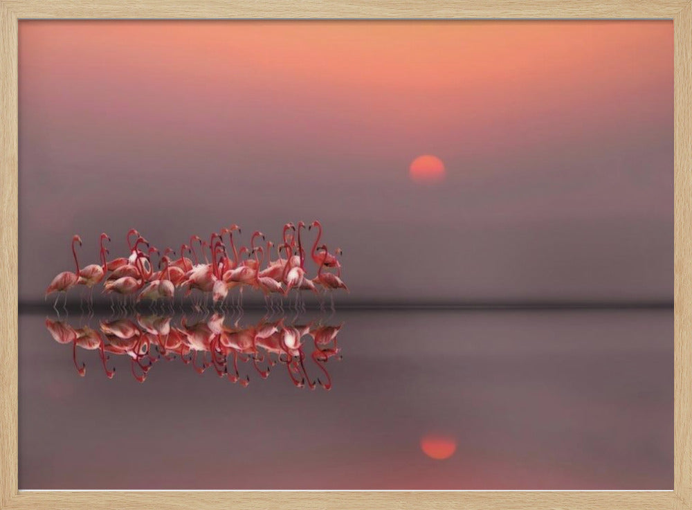 fioletowy zachód słońca | Plakaty - Wydruki Artystyczne