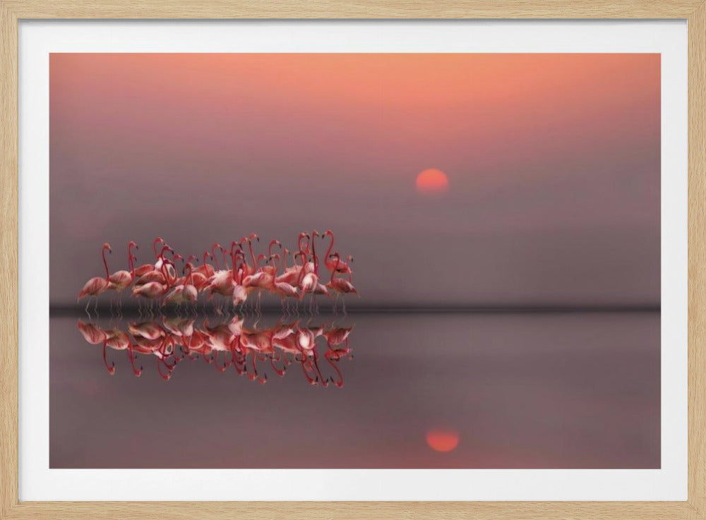 fioletowy zachód słońca | Plakaty - Wydruki Artystyczne