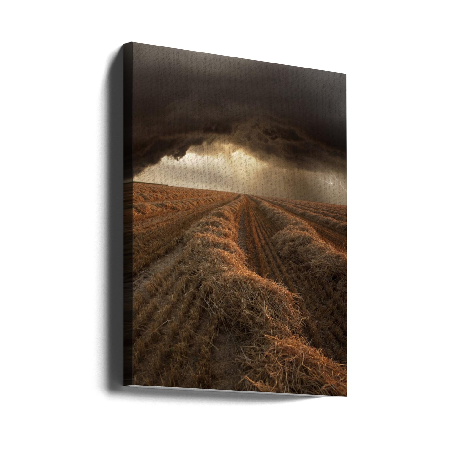 Ohne Titel | Leinwand-Bilder