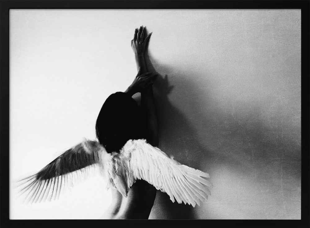not fly | Poster