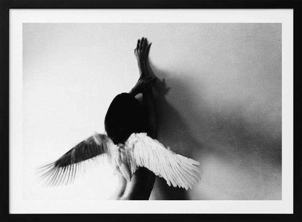not fly | Poster