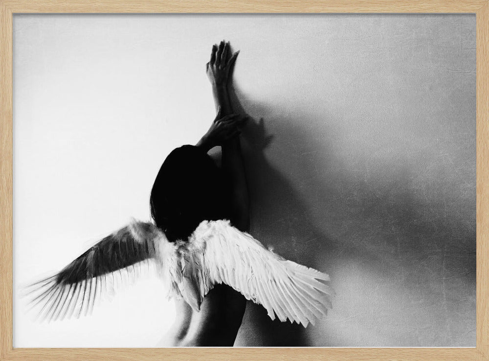 not fly | Poster
