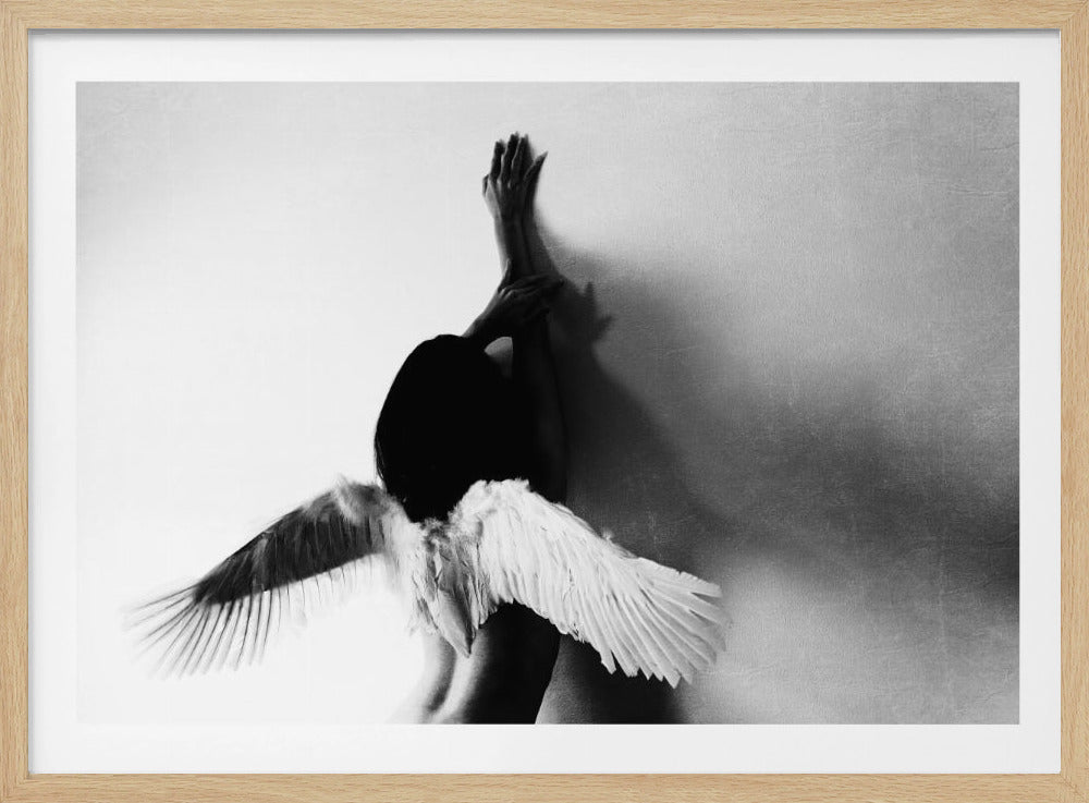 not fly | Poster