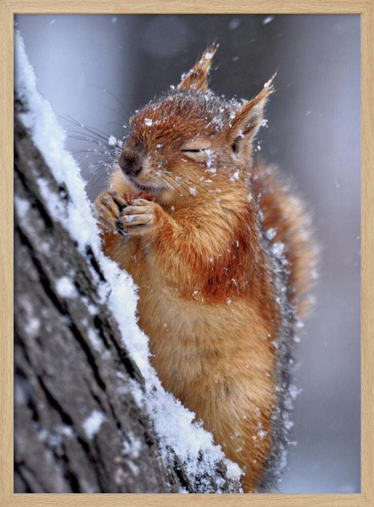 winter | Poster