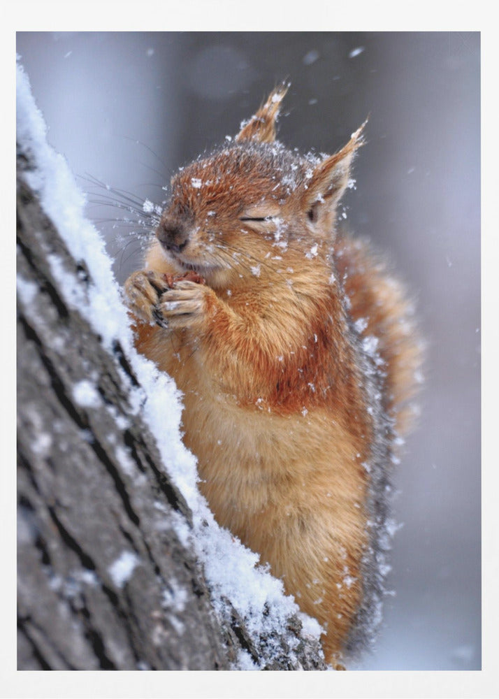 winter | Poster
