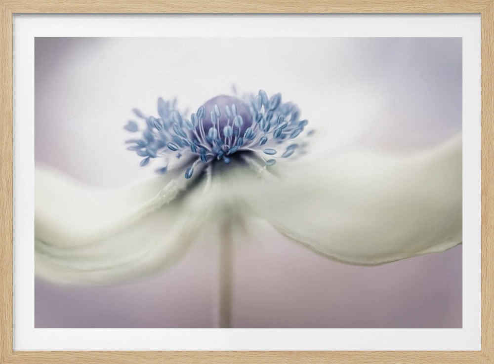 vuokko | Julisteet - Taidevedokset