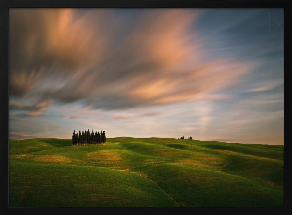 Fields... | Poster