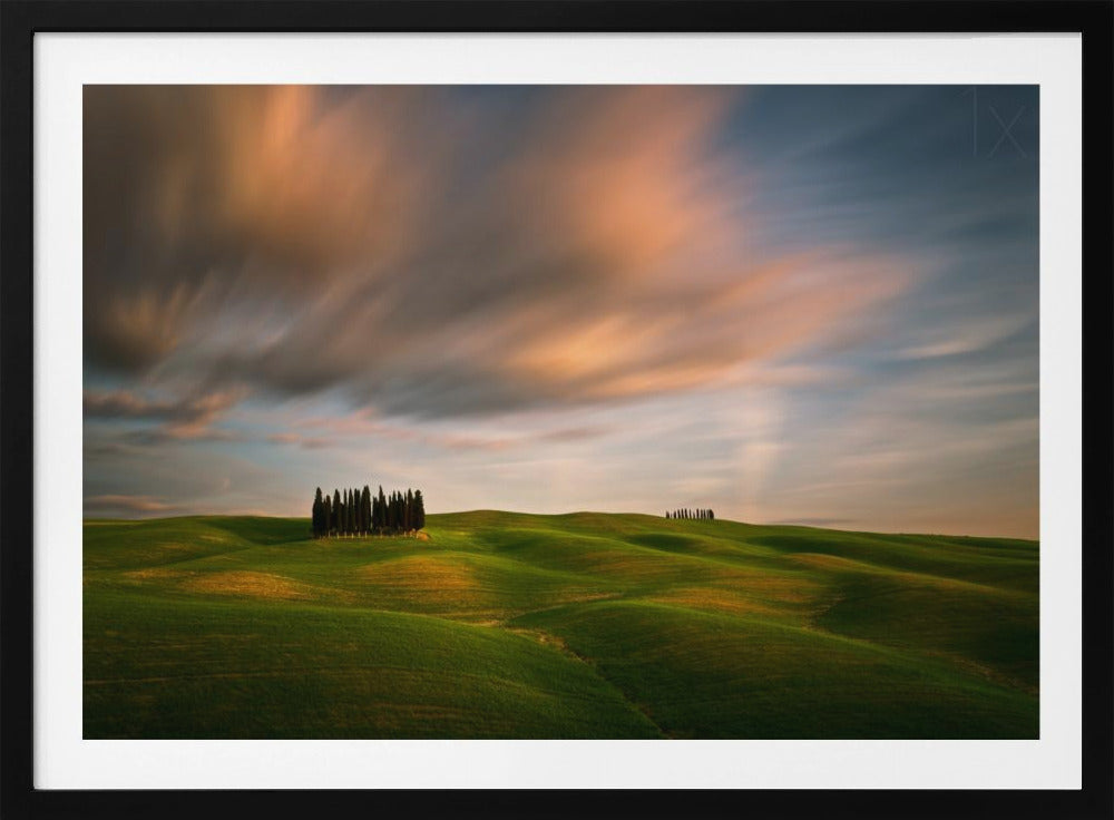 Fields... | Poster