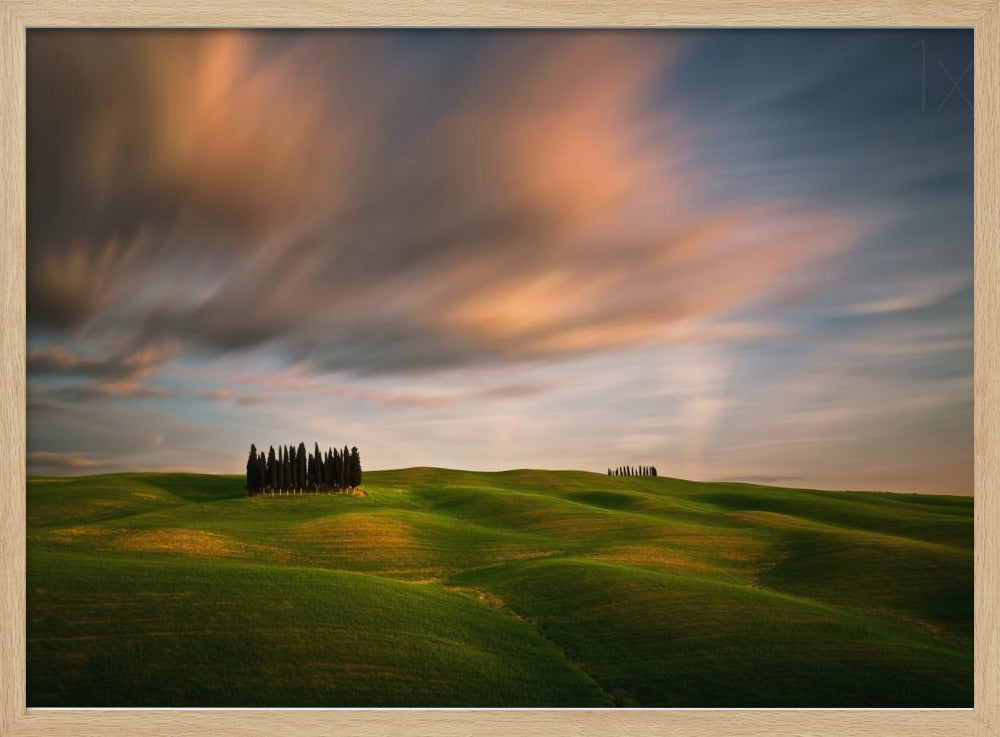 Fields... | Poster
