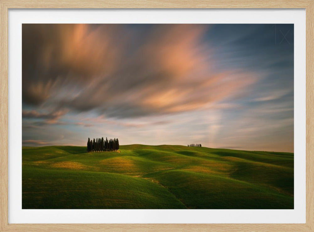 Fields... | Poster