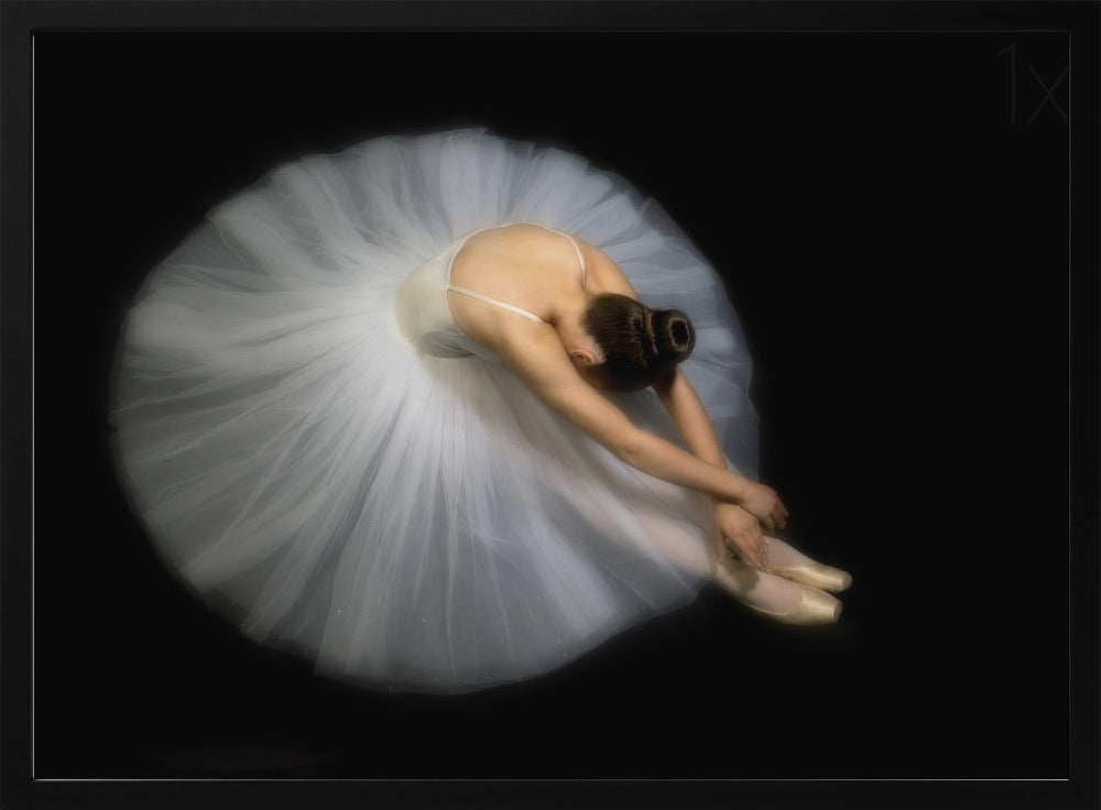 Elegance | Poster
