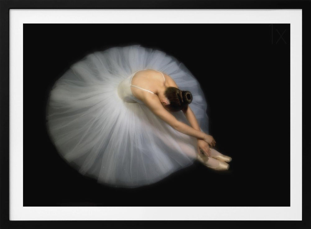 Elegance | Poster