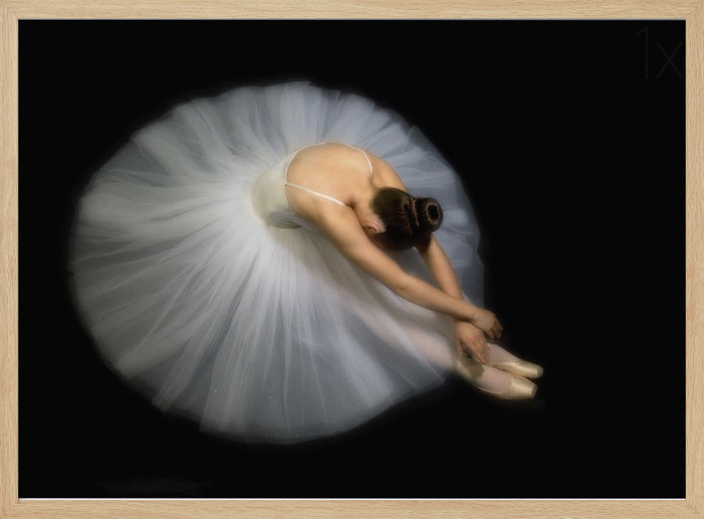Elegance | Poster