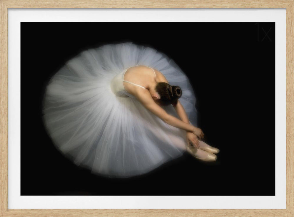 Elegance | Poster