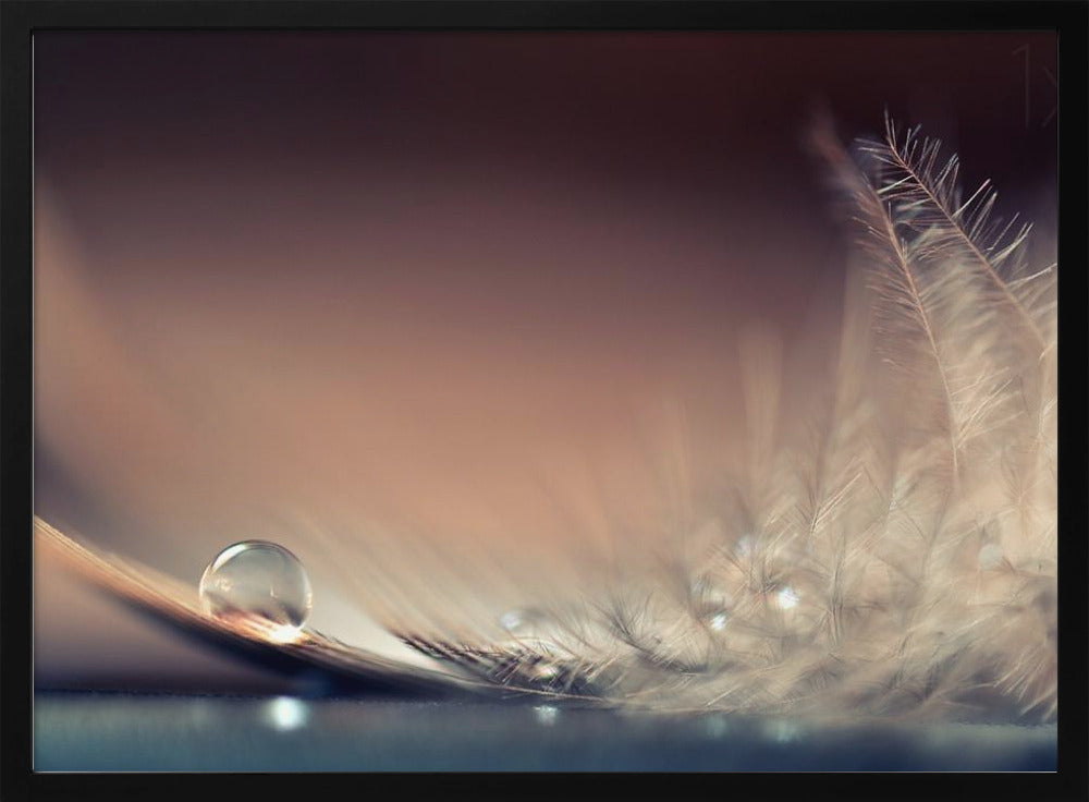 Stories of Drops | Poster