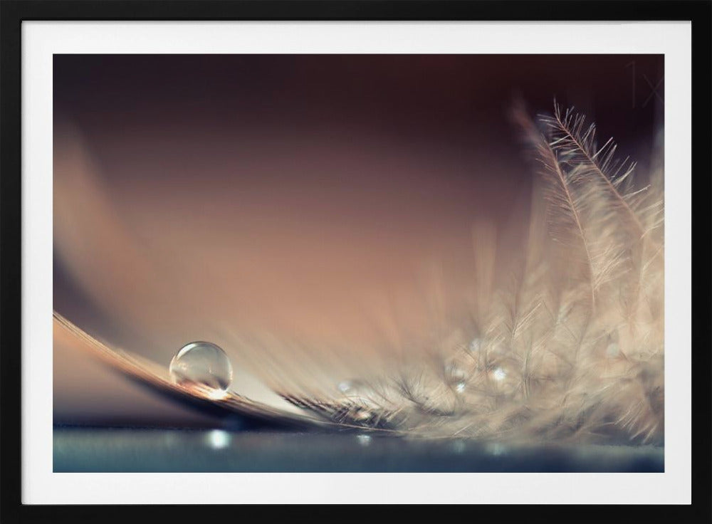Stories of Drops | Poster