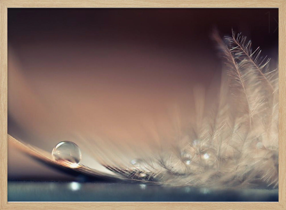 Stories of Drops | Poster