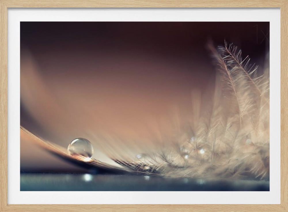 Stories of Drops | Poster