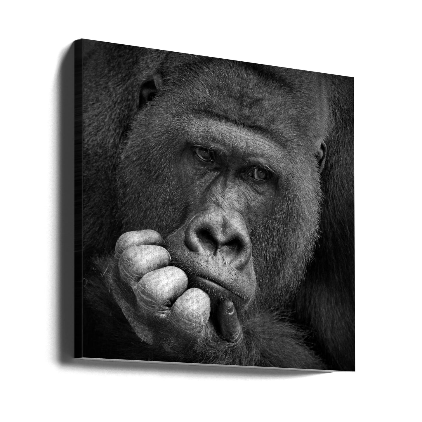 I had a Dream | Canvas