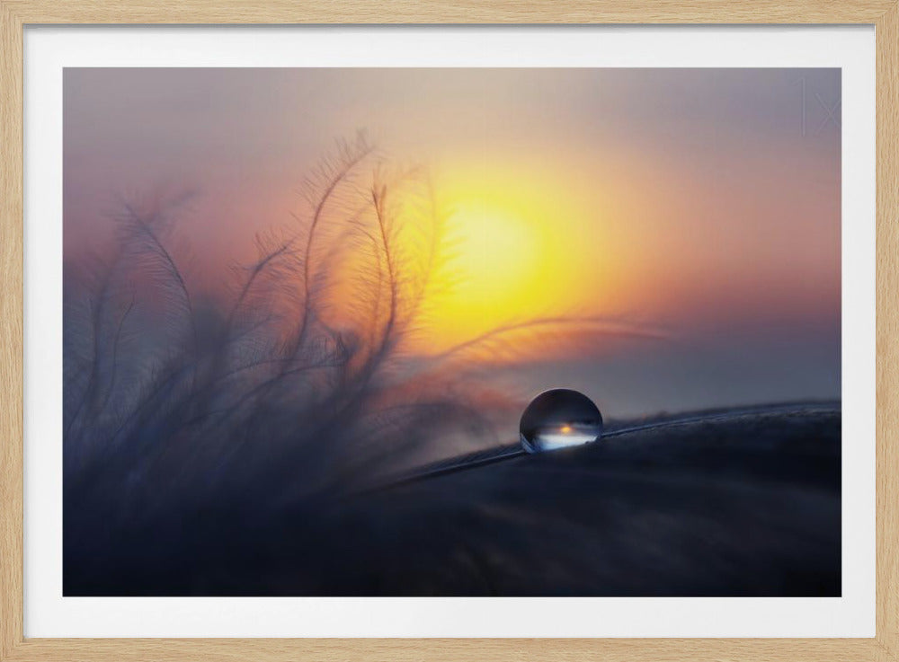 Morning | Poster
