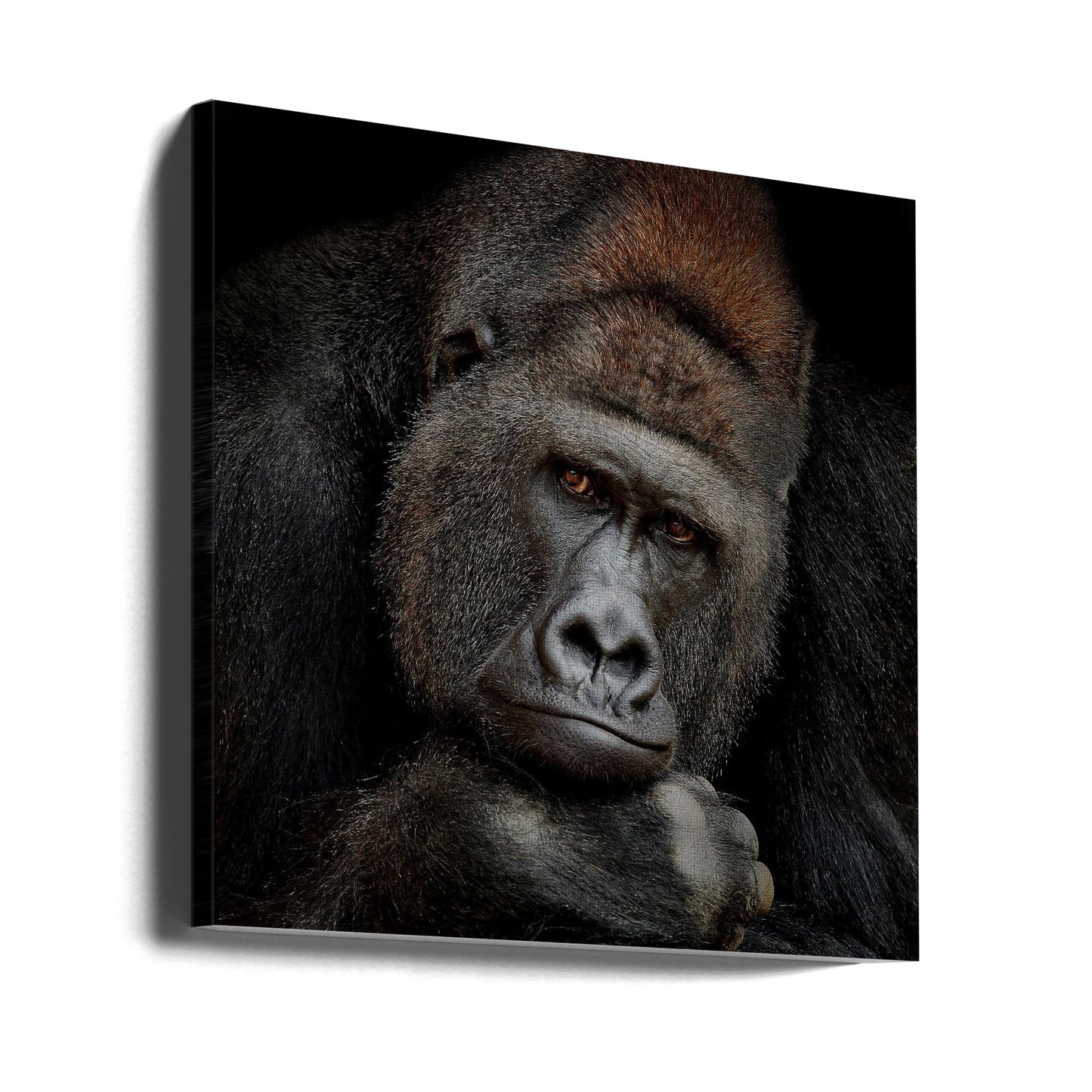 ONE MOMENT IN CONTACT | Canvas