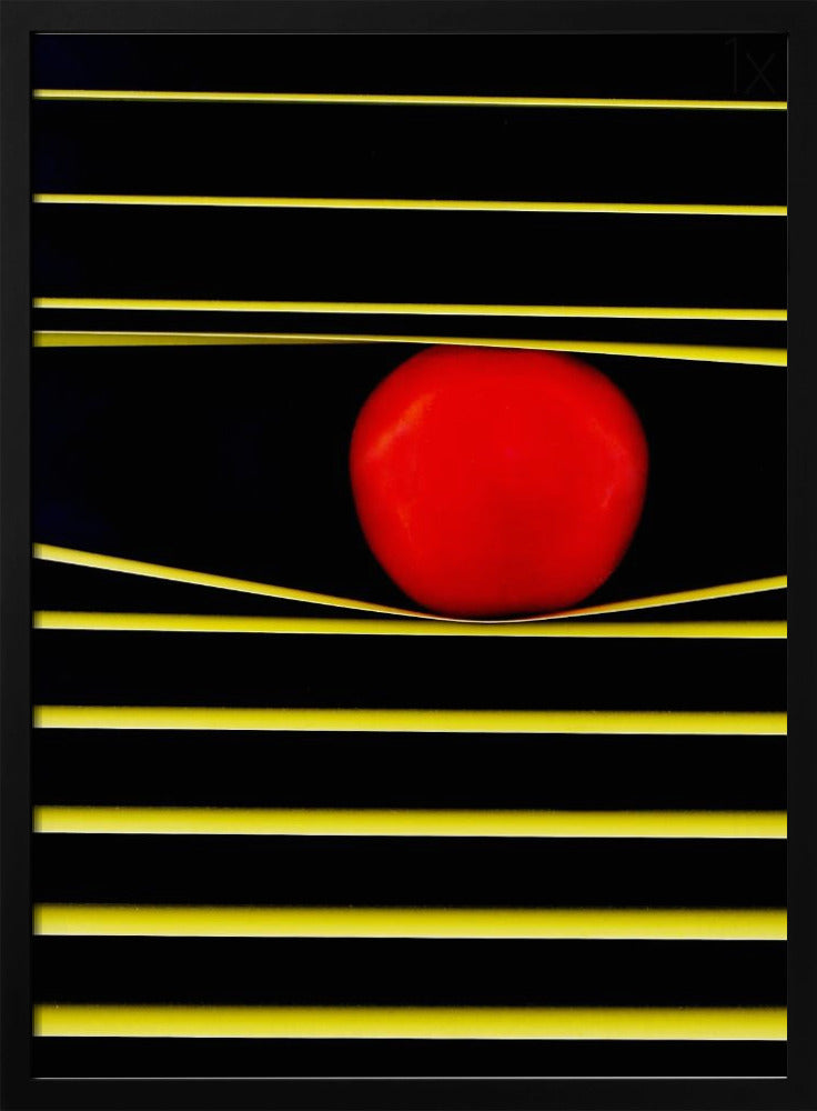 Líneas y círculos | Posters  - Impresiones de Arte