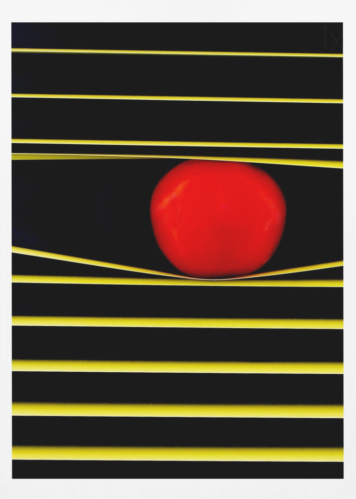 Líneas y círculos | Posters  - Impresiones de Arte