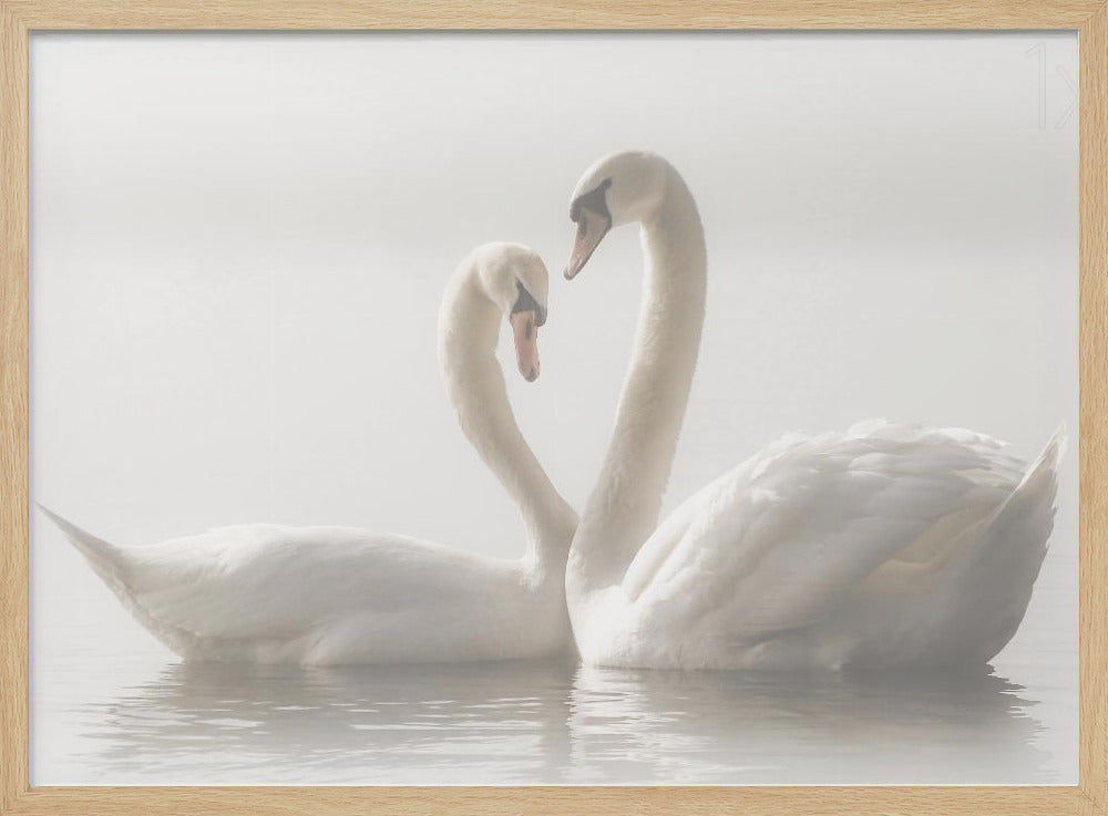 Forever | Poster