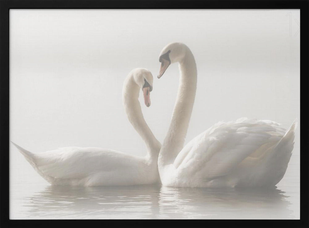 Ikuisesti | Julisteet - Taidevedokset