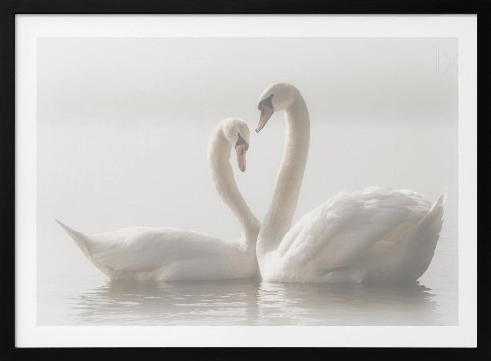 Ikuisesti | Julisteet - Taidevedokset