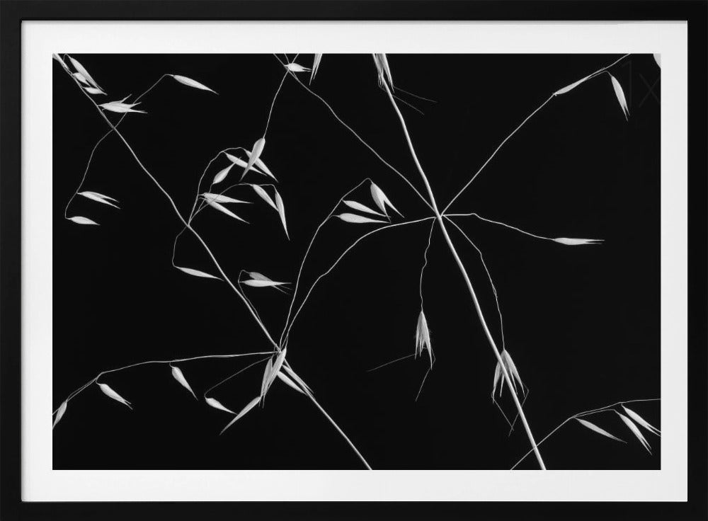 Crossed Lines | Poster