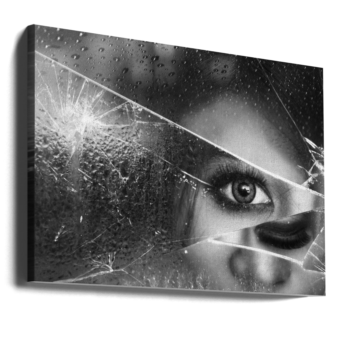 kappaleiden kasvot | Canvastaulut