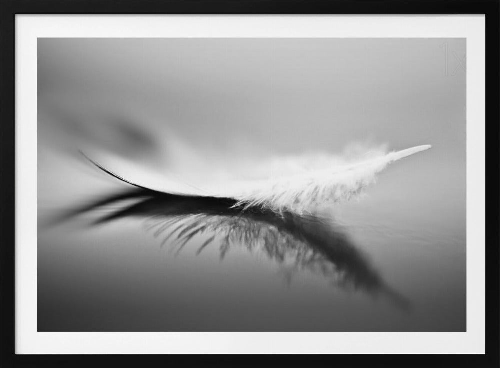 White | Poster