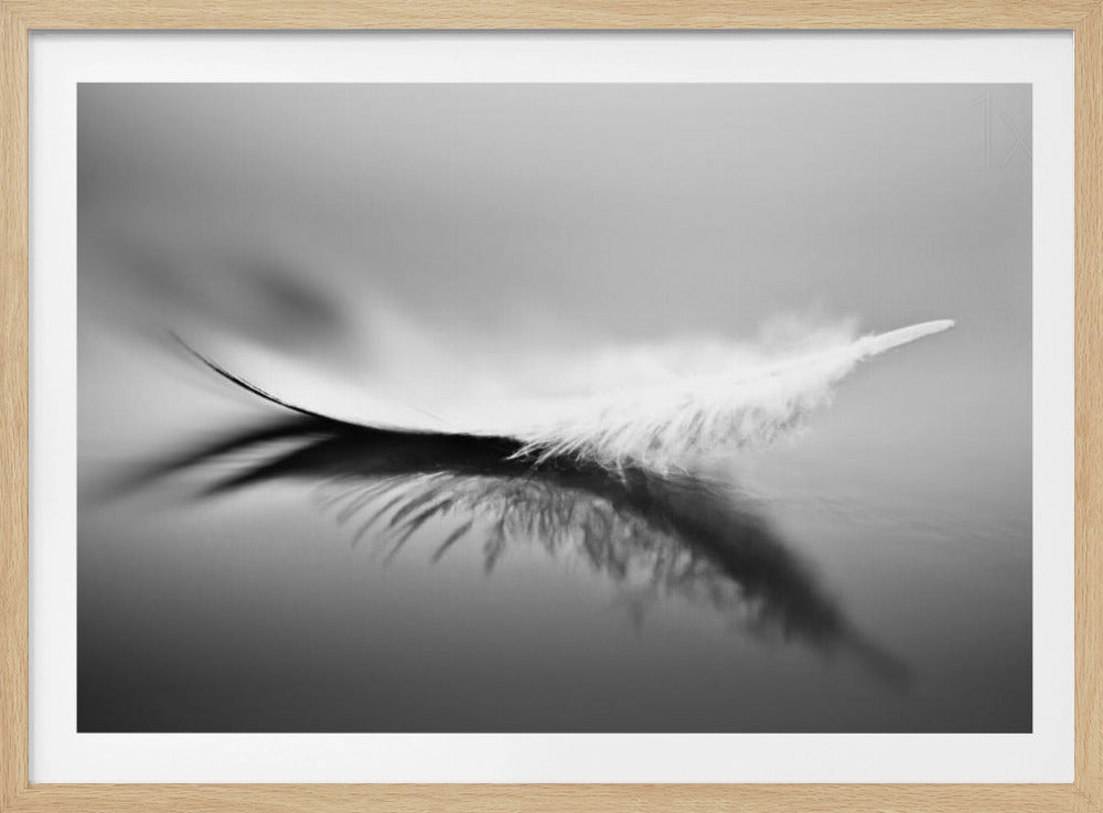 White | Poster