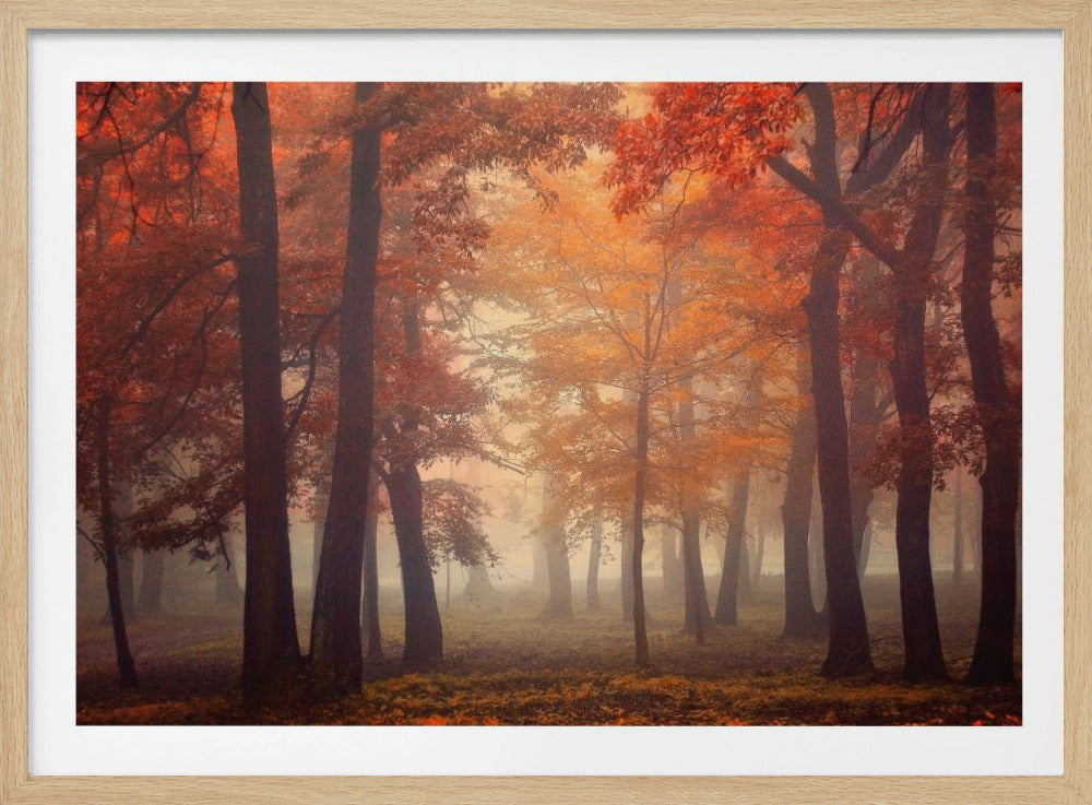Fühlen | Poster - Kunstdruck