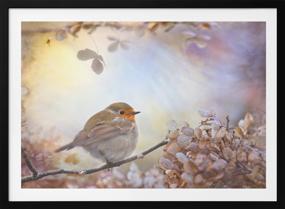 Robin unelmissa | Julisteet - Taidevedokset