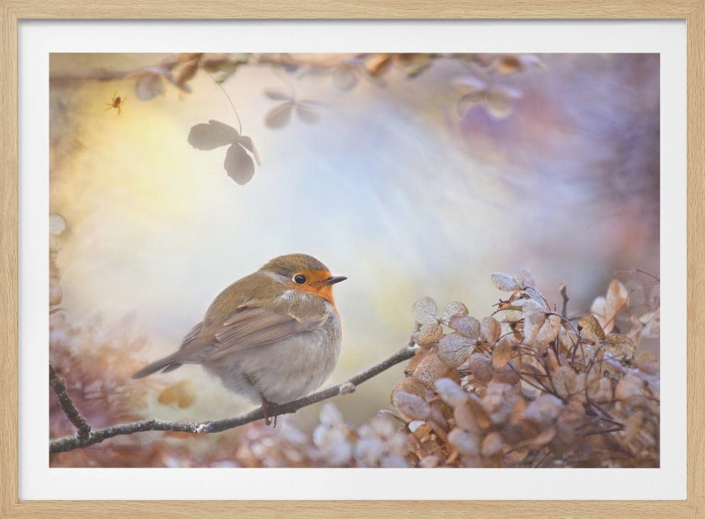 Robin unelmissa | Julisteet - Taidevedokset