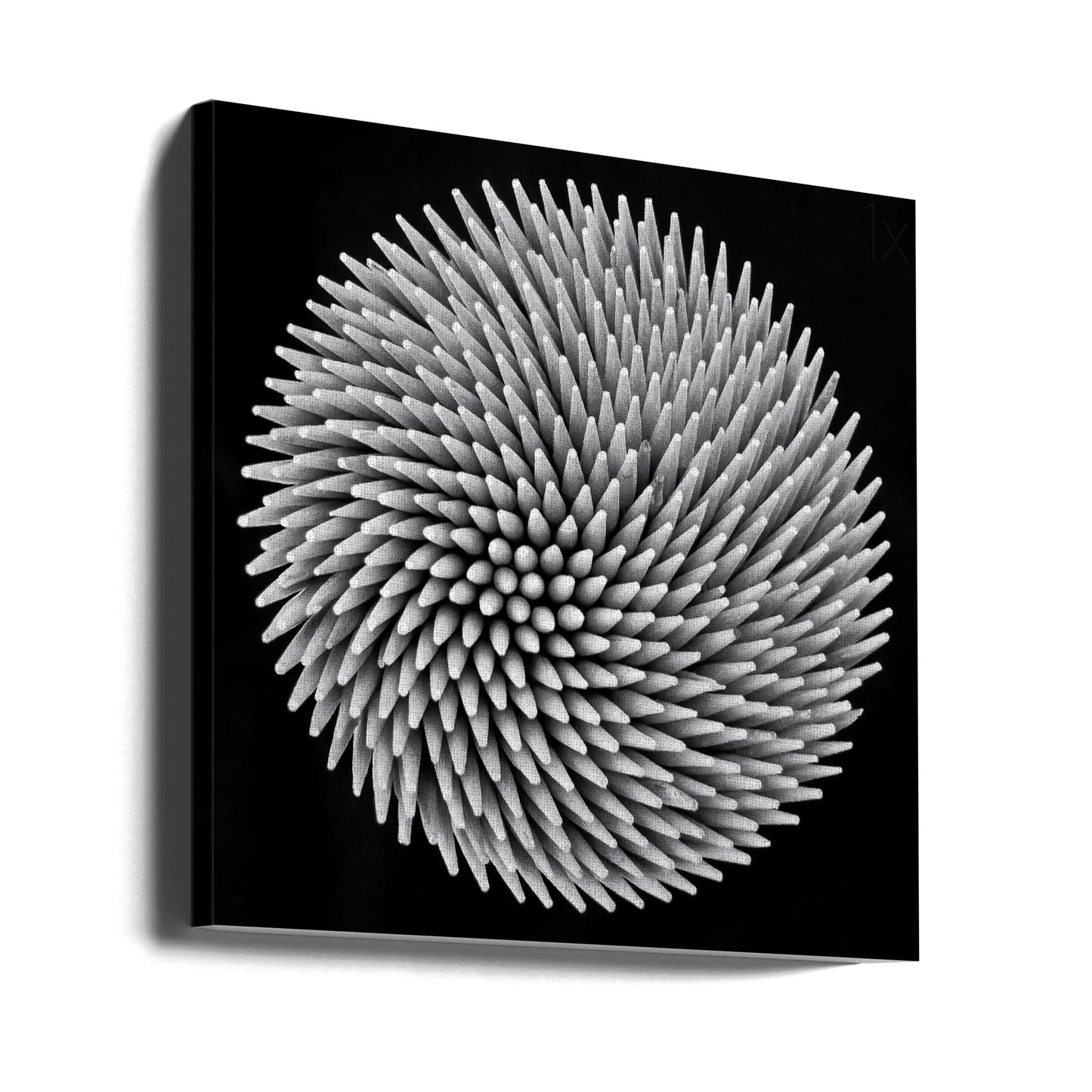 hypnoosi | Canvastaulut