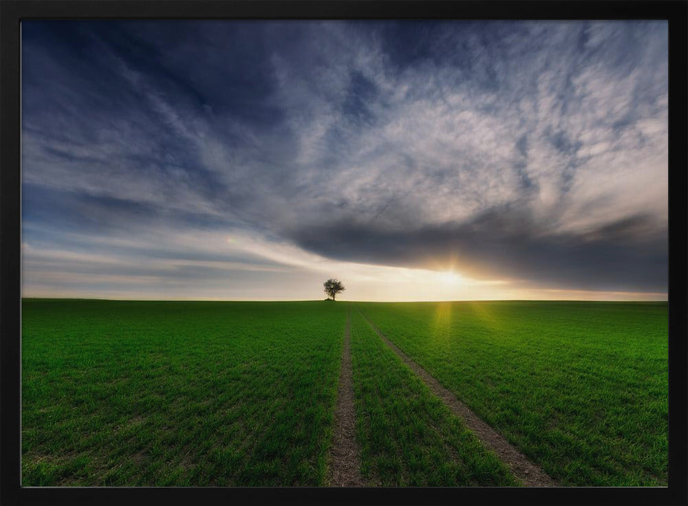 yksinäinen auringossa | Julisteet - Taidevedokset