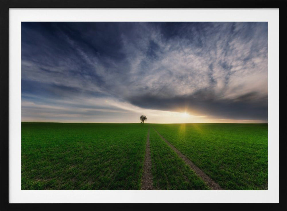 yksinäinen auringossa | Julisteet - Taidevedokset