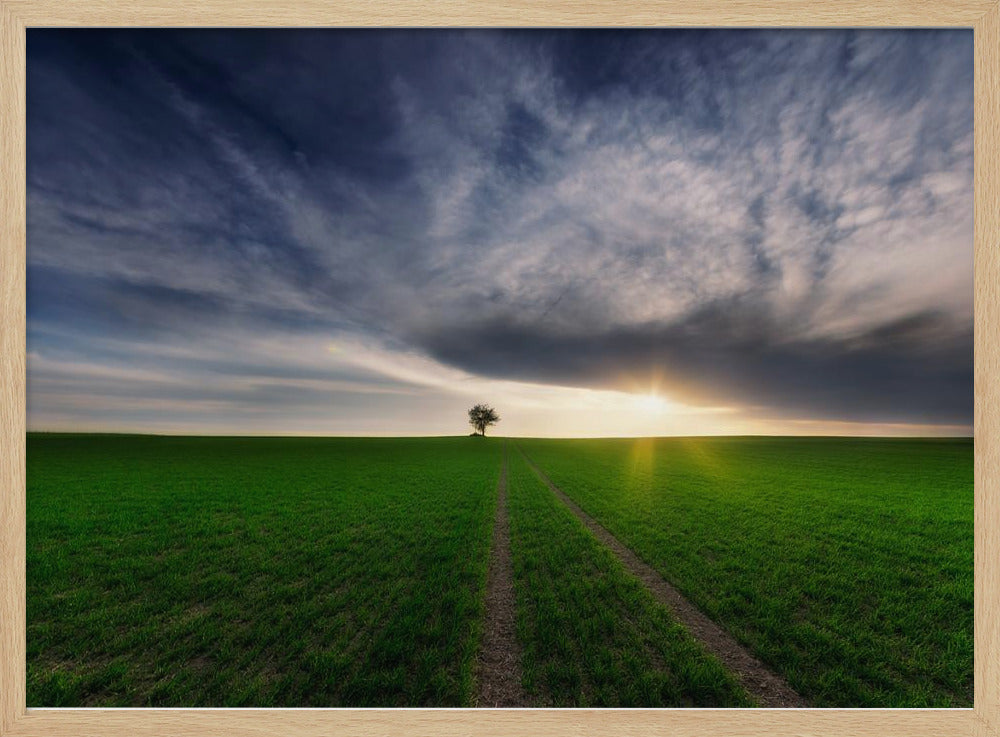 yksinäinen auringossa | Julisteet - Taidevedokset