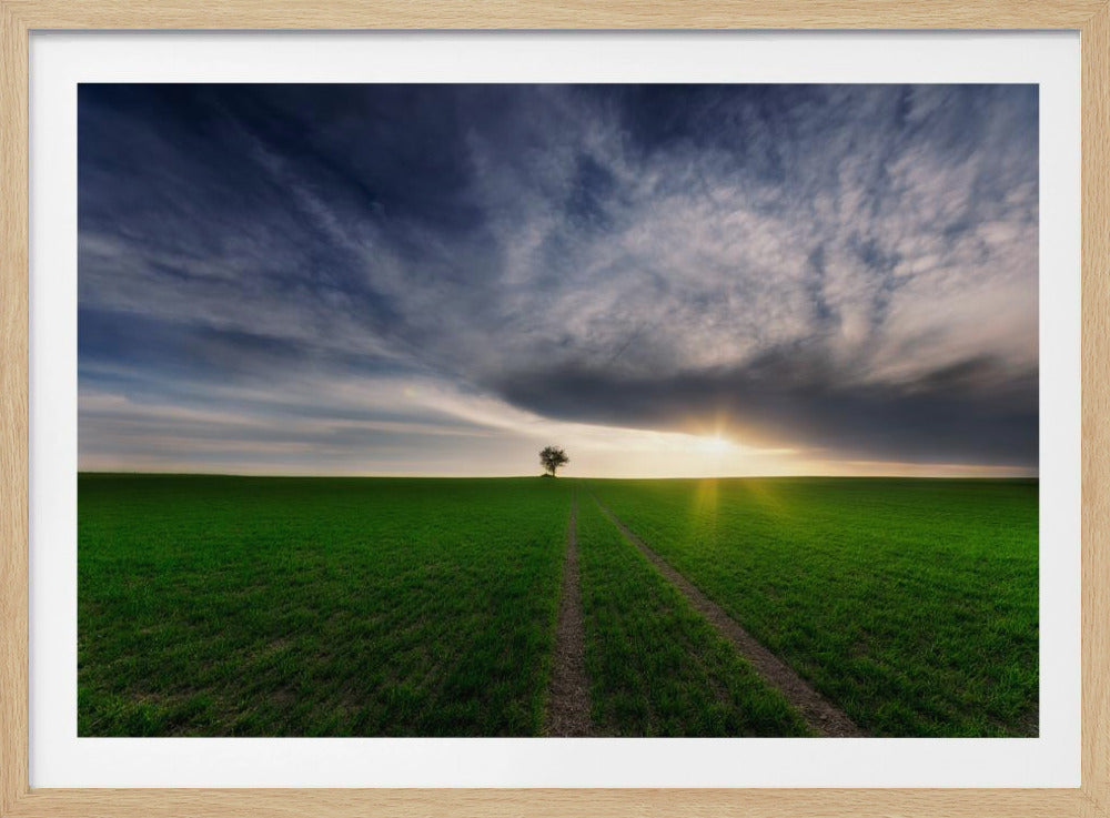 yksinäinen auringossa | Julisteet - Taidevedokset